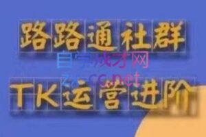 路路通·跨境TikTok全套课程（更新43期）