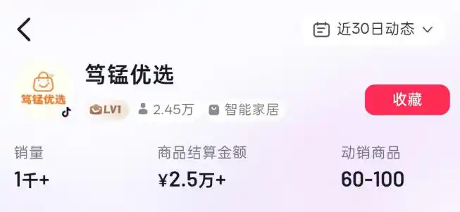 无需实拍也能做好抖音车载带货项目，收益非常稳定，每天坚持发就可以！