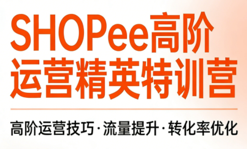 梦凡老师·Shopee虾皮高阶运营课程(更新)