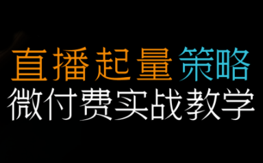 半野老师·直播带货起量与微付费必学课视频号