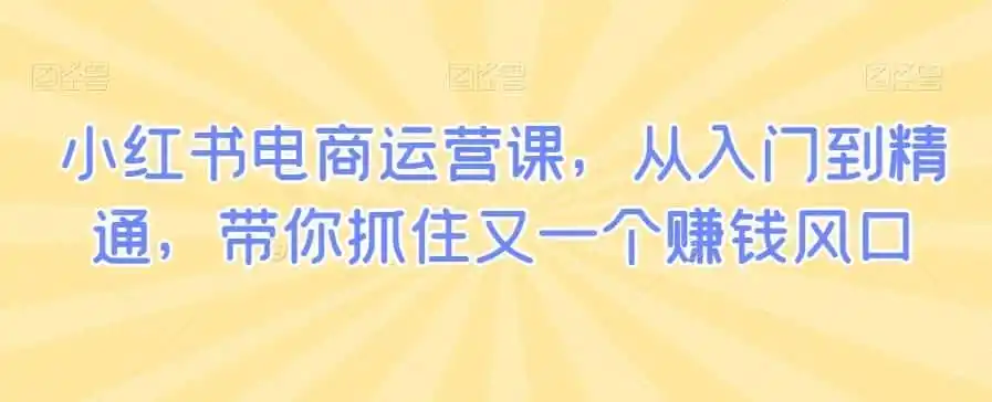 小红书电商运营课，从入门到精通，带你抓住又一个赚钱风口