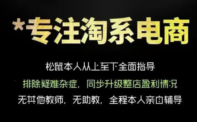 松鼠会电商VIP课程，从基础布局到高阶优化，助你掌握淘宝运营逻辑，提升店铺流量与转化（更新0703）