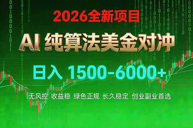 2026 全新美金对冲项目，不套平台赠金，不封号，纯算法对冲，日入 1500-6000+